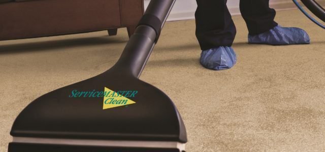 Carpet cleaning service